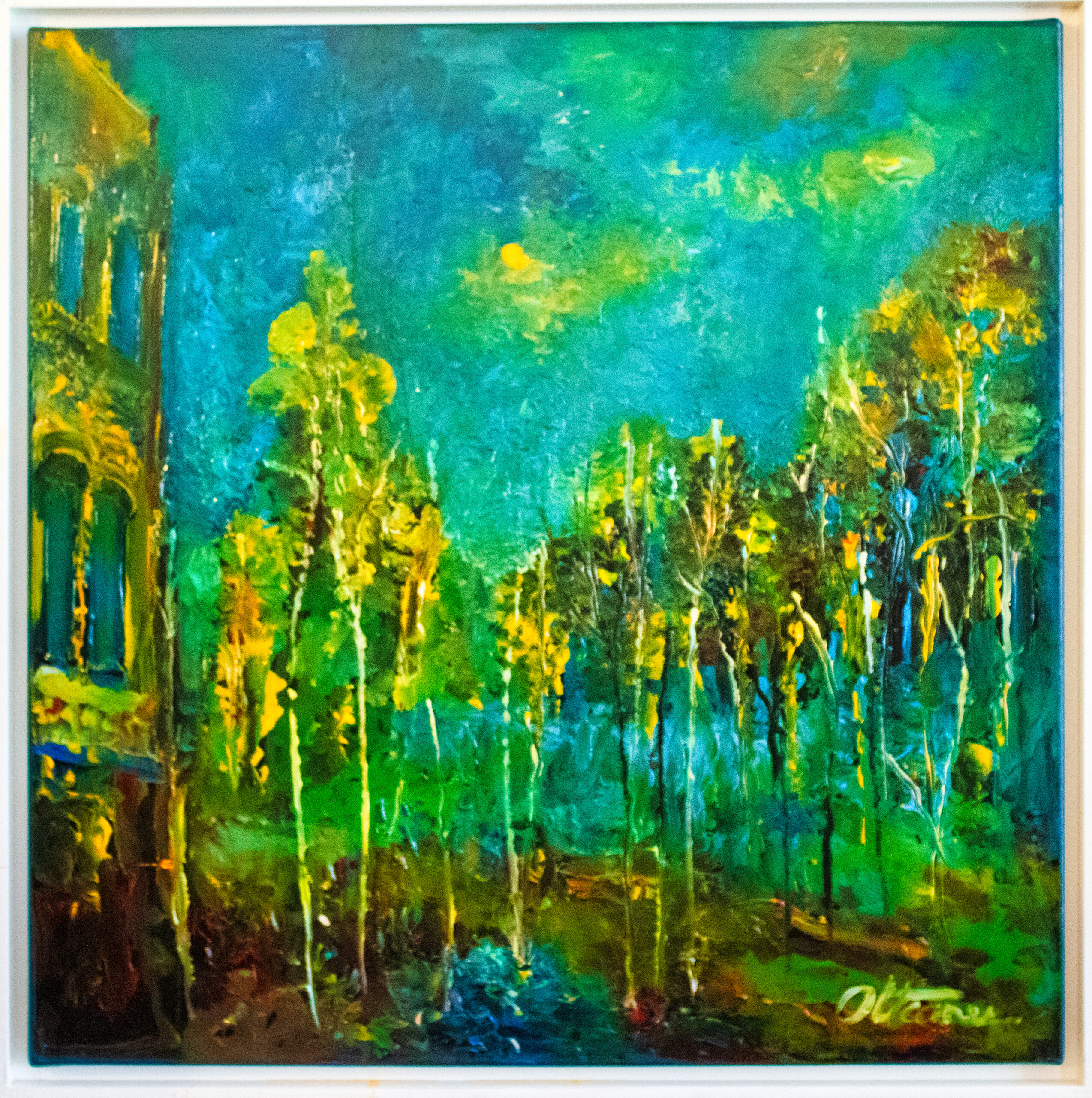 Puls albastru în pădure de lumina